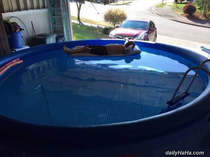 this guy knows how to live funny picture