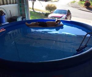 this guy knows how to live funny picture