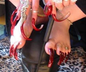 this is a little ridiculous funny picture