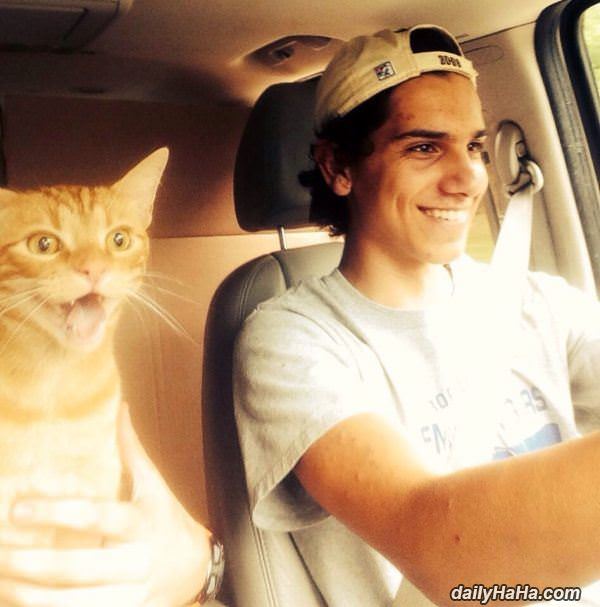 this is an awesome ride funny picture