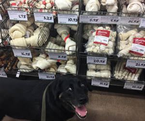 this is by far my favorite store funny picture