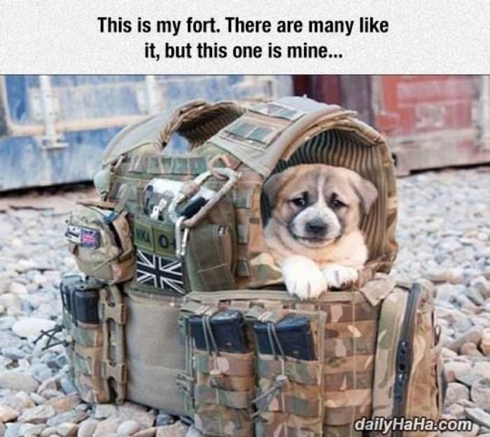 this is my fort funny picture