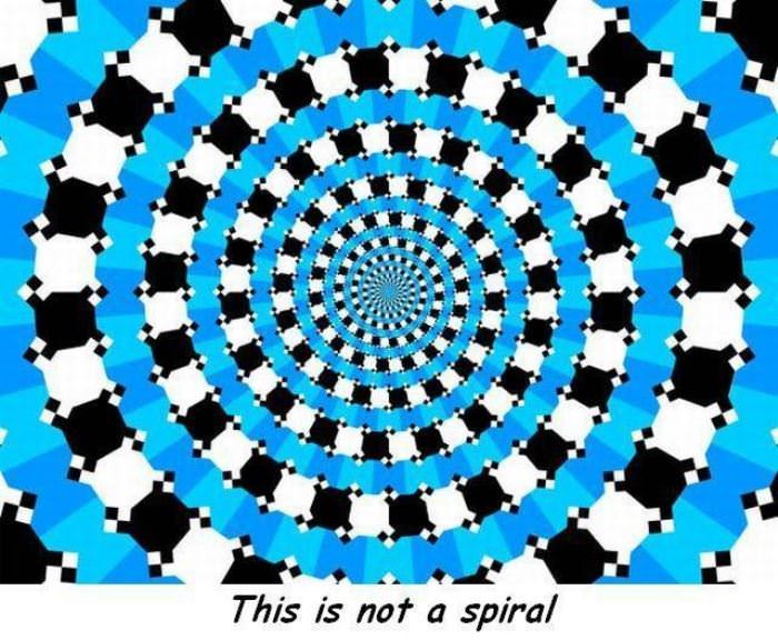 this is not a spiral funny picture