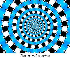 this is not a spiral funny picture