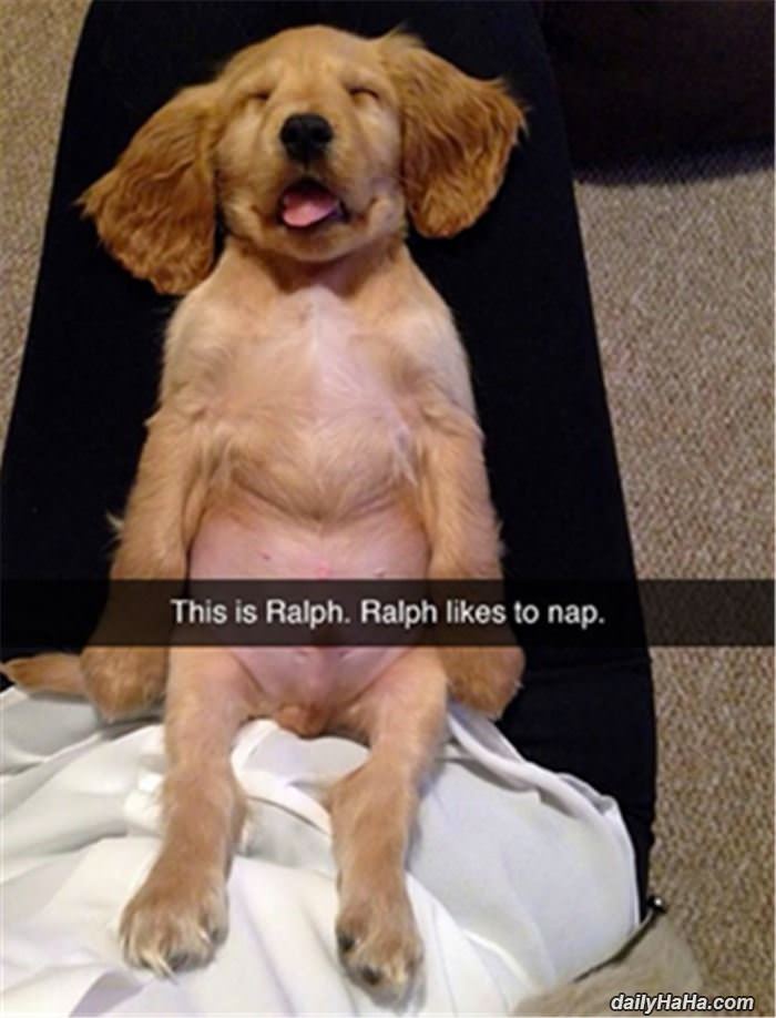 this is ralph funny picture