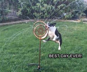 this is the best day ever funny picture