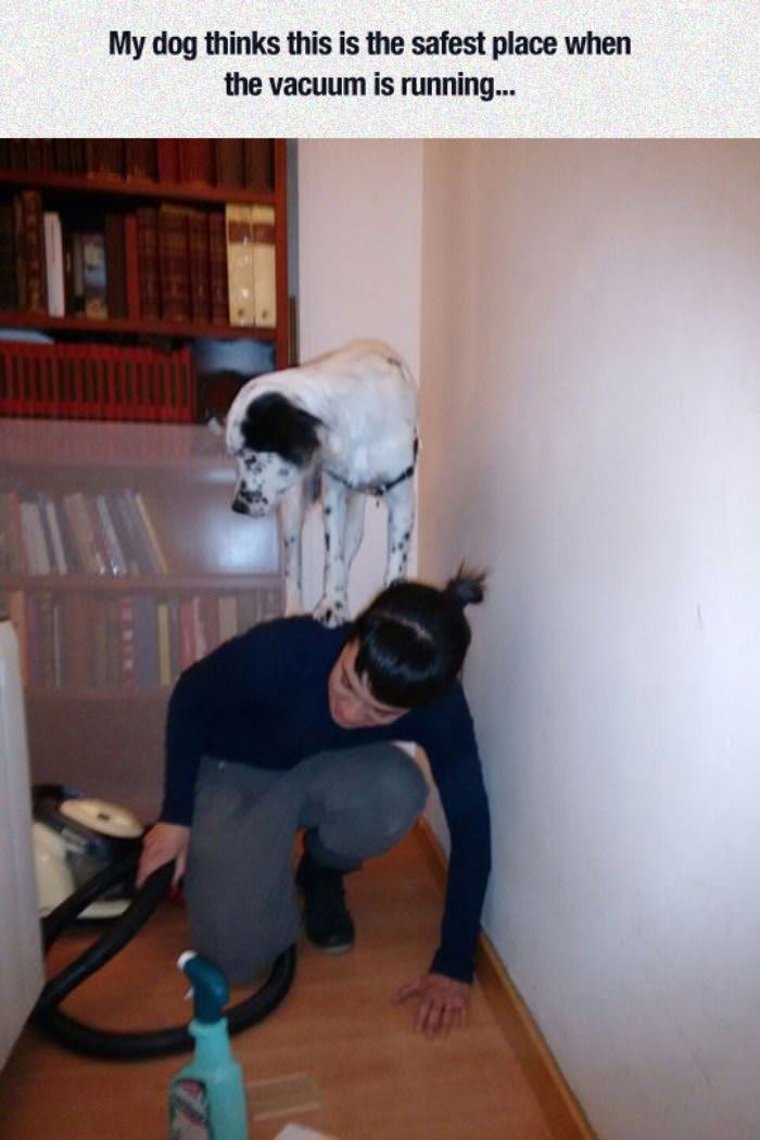 this is the safest place funny picture