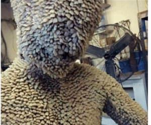 this is the tooth fairy funny picture