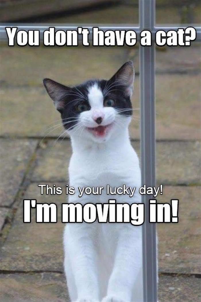 this is your lucky day funny picture