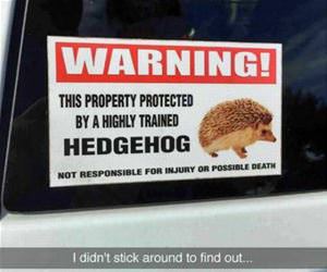 this property is protected funny picture