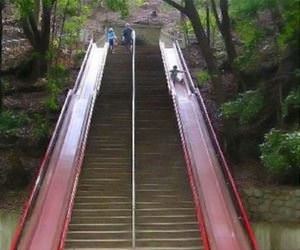 this should be an option funny picture