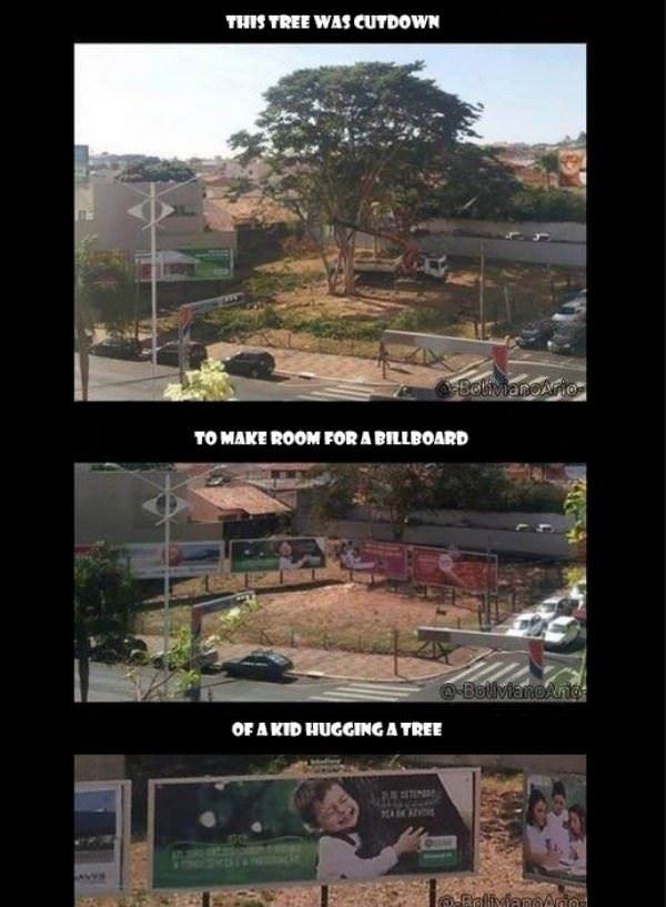 this tree was removed funny picture