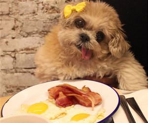 this would not make me mad at all funny picture