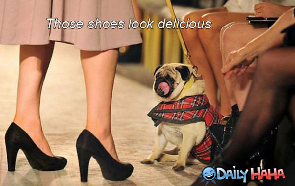 Those Shoes funny picture