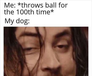 throw it again