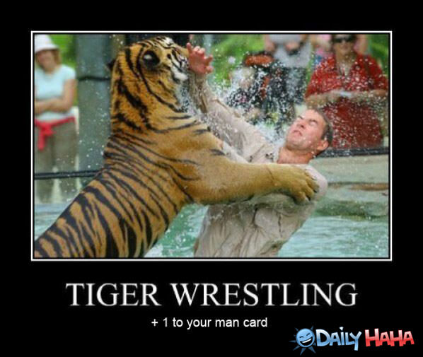 Tiger Wrestling funny picture