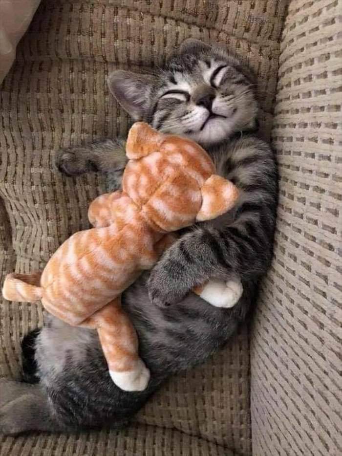 time for some sweet dreams