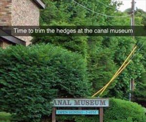 time to trim the hedges