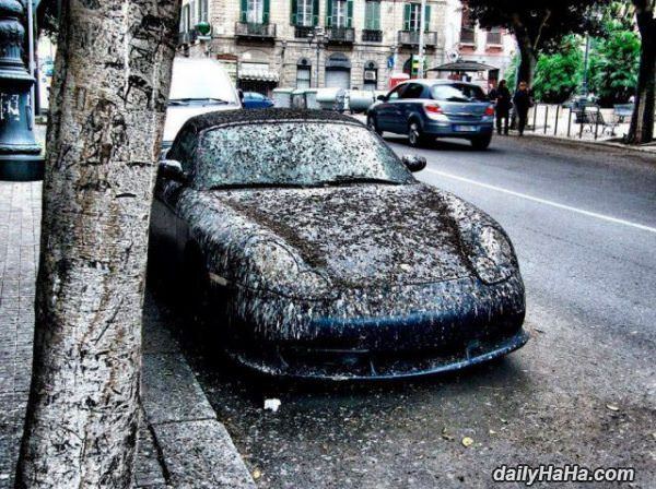 time for a car wash funny picture