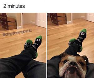 time for my petting funny picture