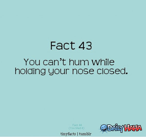 Tiny Fact funny picture