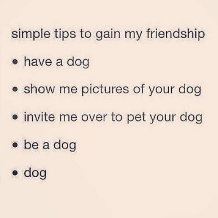 tips to gain my friendship funny picture