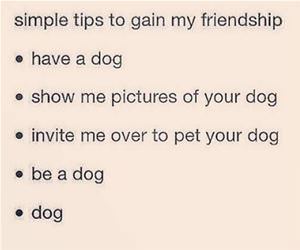 tips to gain my friendship funny picture