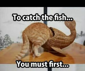 to catch a fish