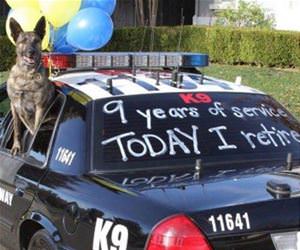 today i retire funny picture