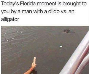 todays florida moment
