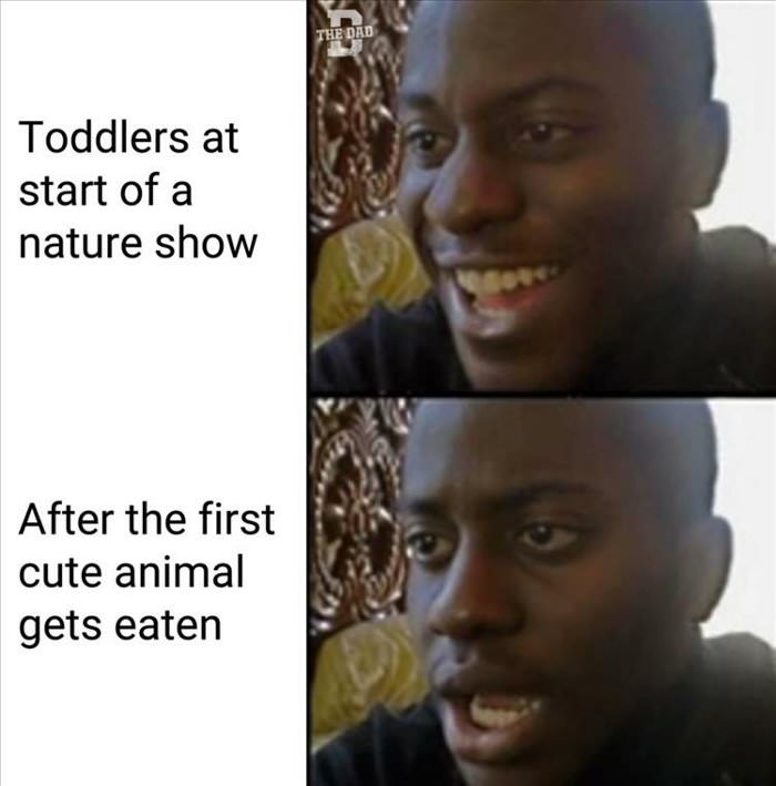 toddlers watching nature