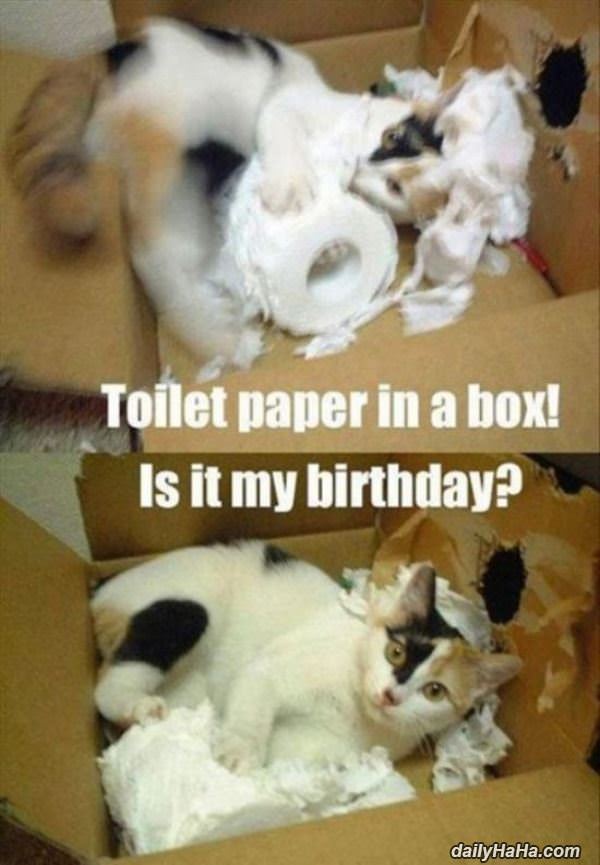 toilet paper and a box funny picture