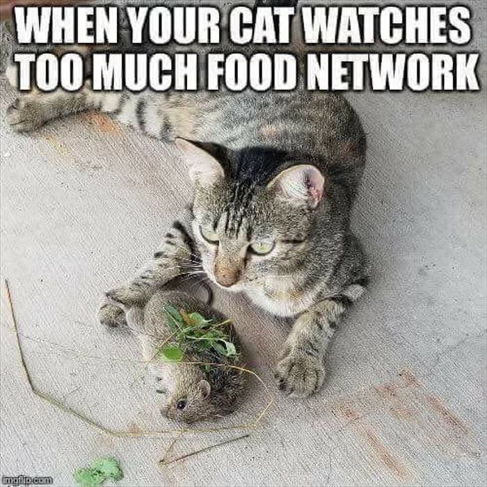 too much food network