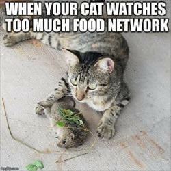 too much food network ... 2