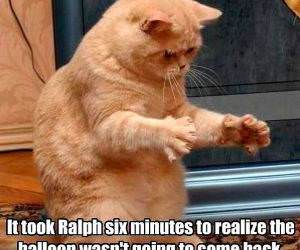 Poor Ralph is Slow funny picture