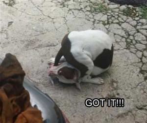 took a while but i got it funny picture