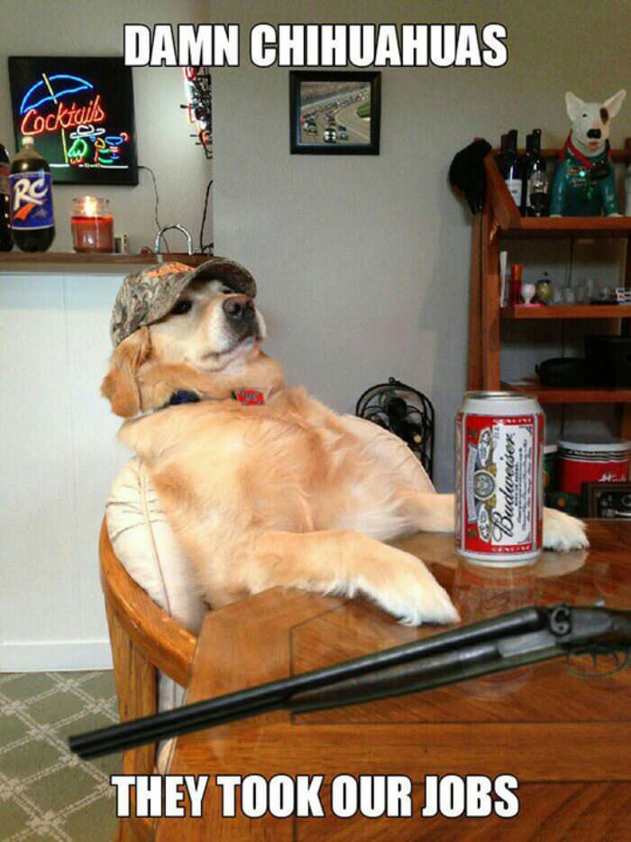 took our jobs funny picture