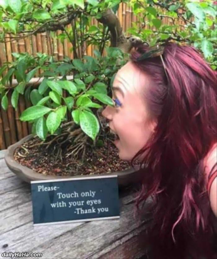 touch with your eyes funny picture