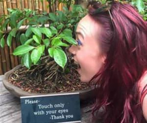 touch with your eyes funny picture