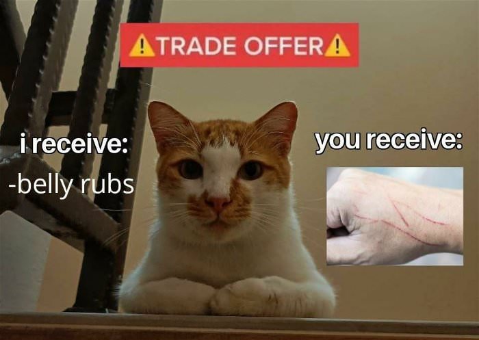 trade offer