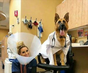 trading places ... 2