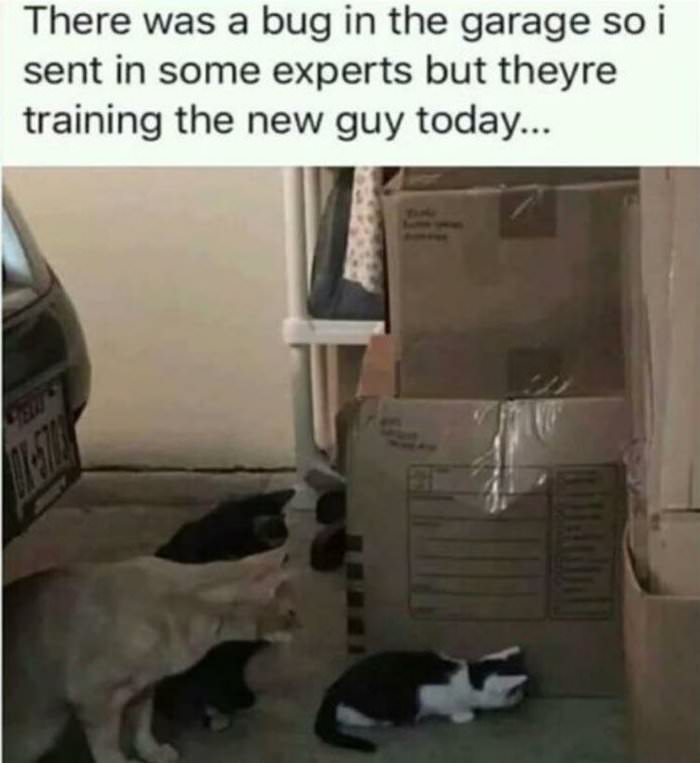 training the new guy