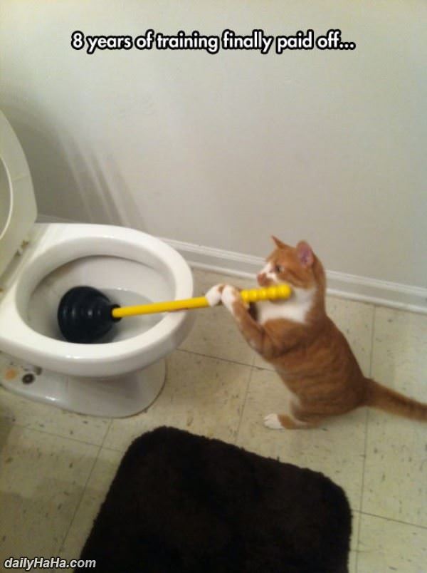 training paid off funny picture