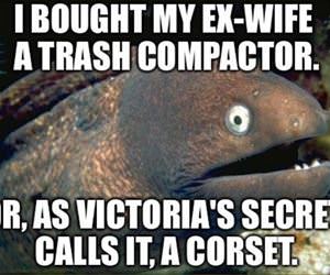 trash compactor funny picture