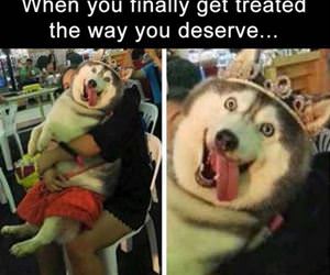 treated the way you deserve funny picture