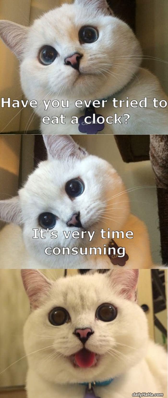 tried to eat a clock funny picture