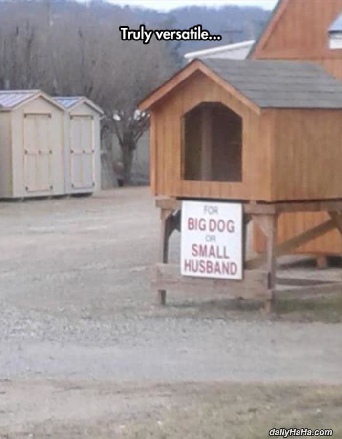 truly versatile funny picture