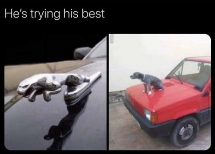 trying his best ... 2