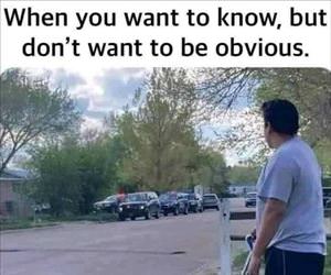 trying not to be obvious