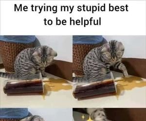 trying to be helpful